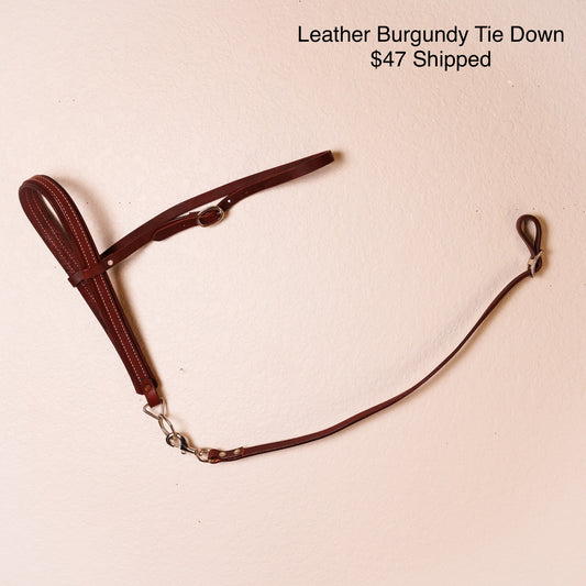 Leather Tie Down