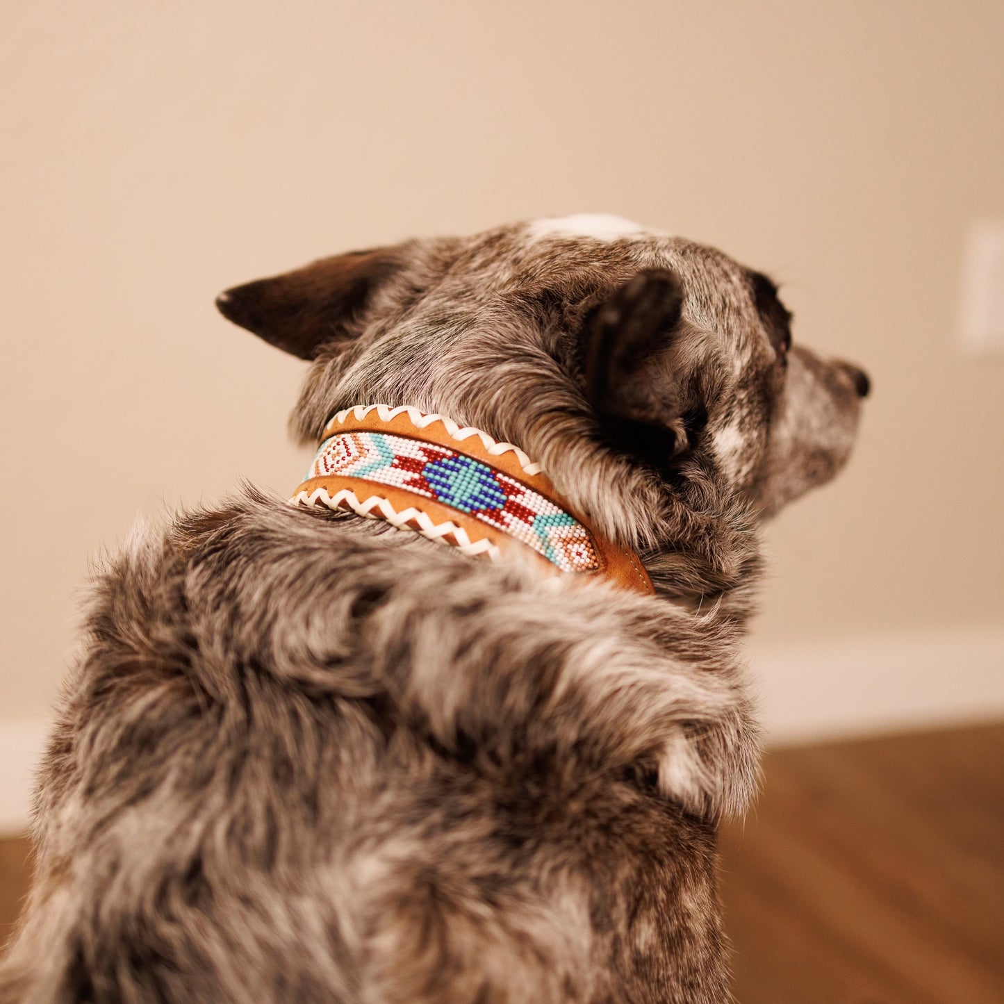 Aztec Whipstitching Dog Collar