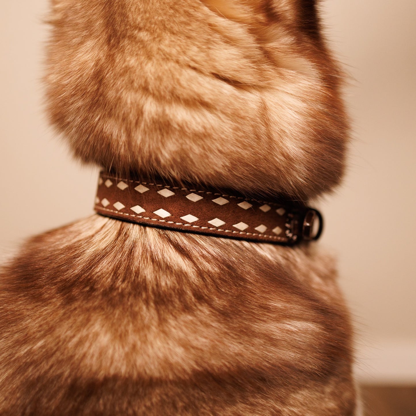 Rough Out Buck-stitch Dog Collar