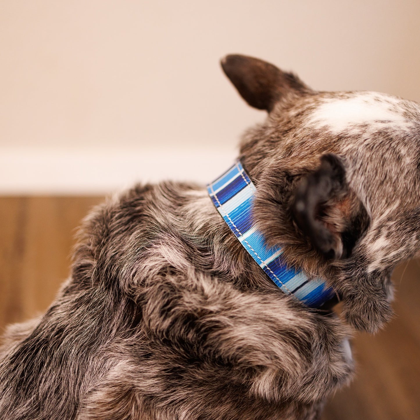 Dark Oil Blue Southwest Dog Collar