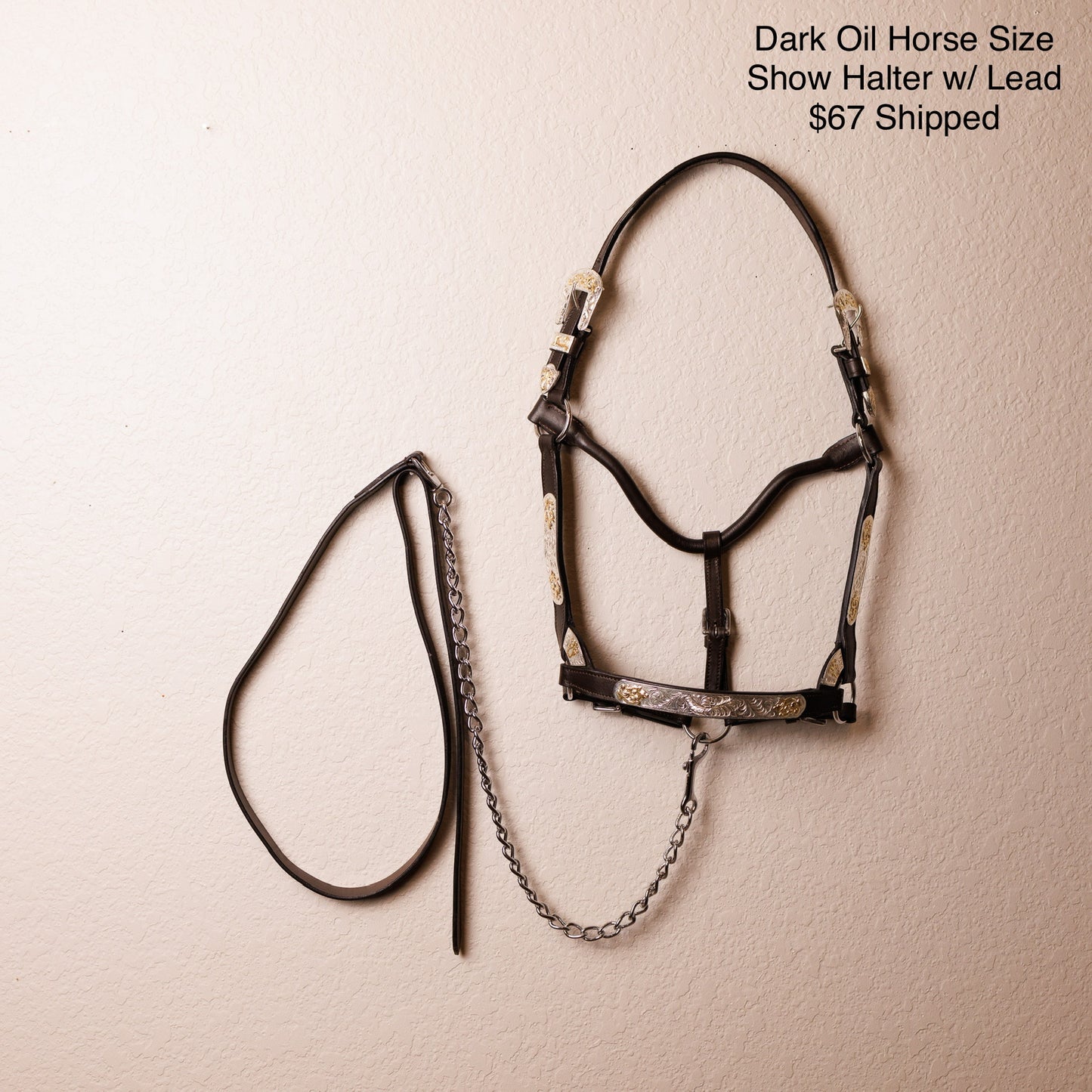 Dark Oil Horse Size Show Halter