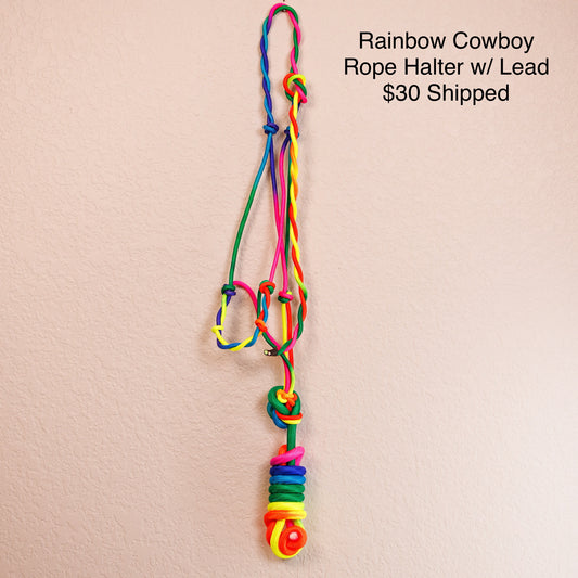 Rainbow Rope Halter w/ Lead