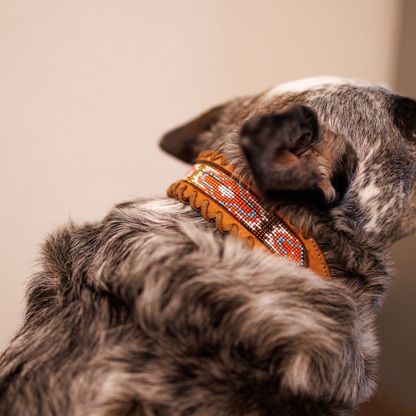 Aztec Beaded Pink Dog Collar