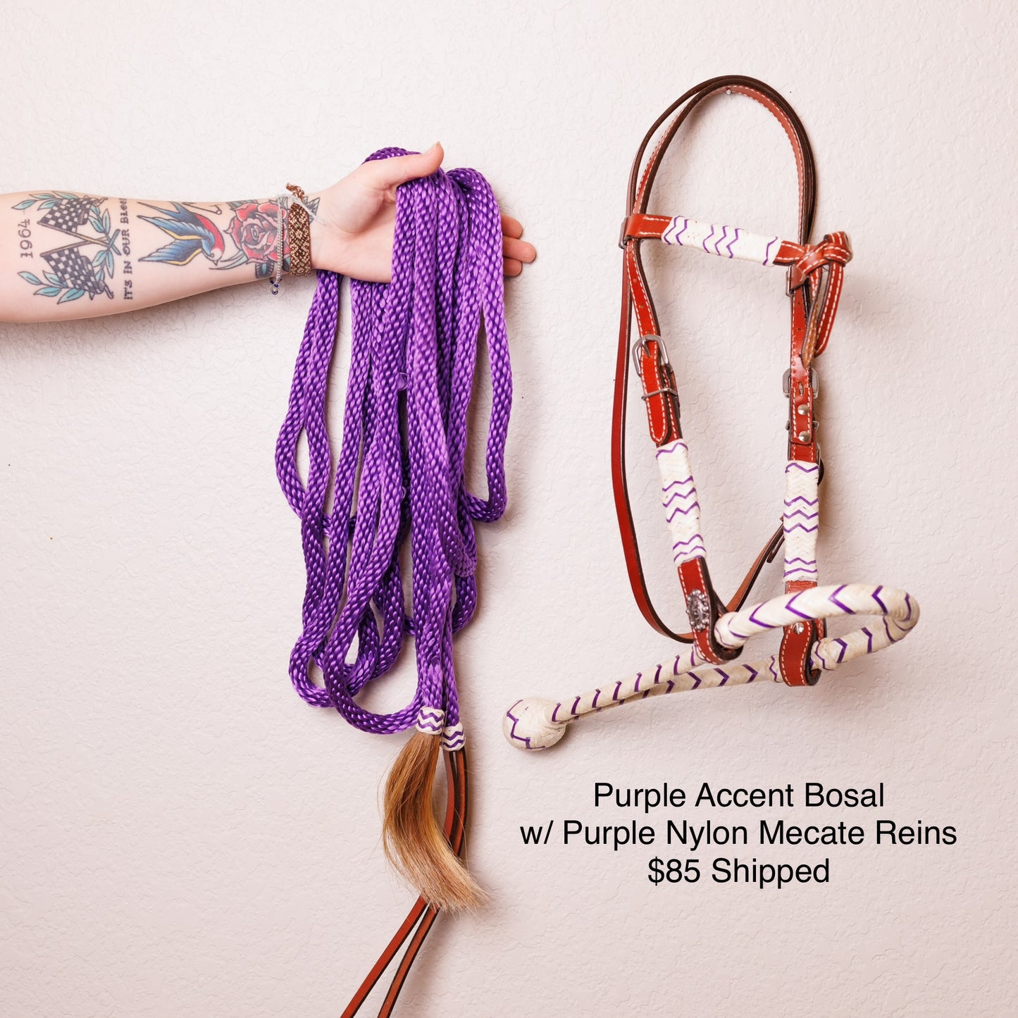 Purple Accent Bosal w/ Purple Mecate