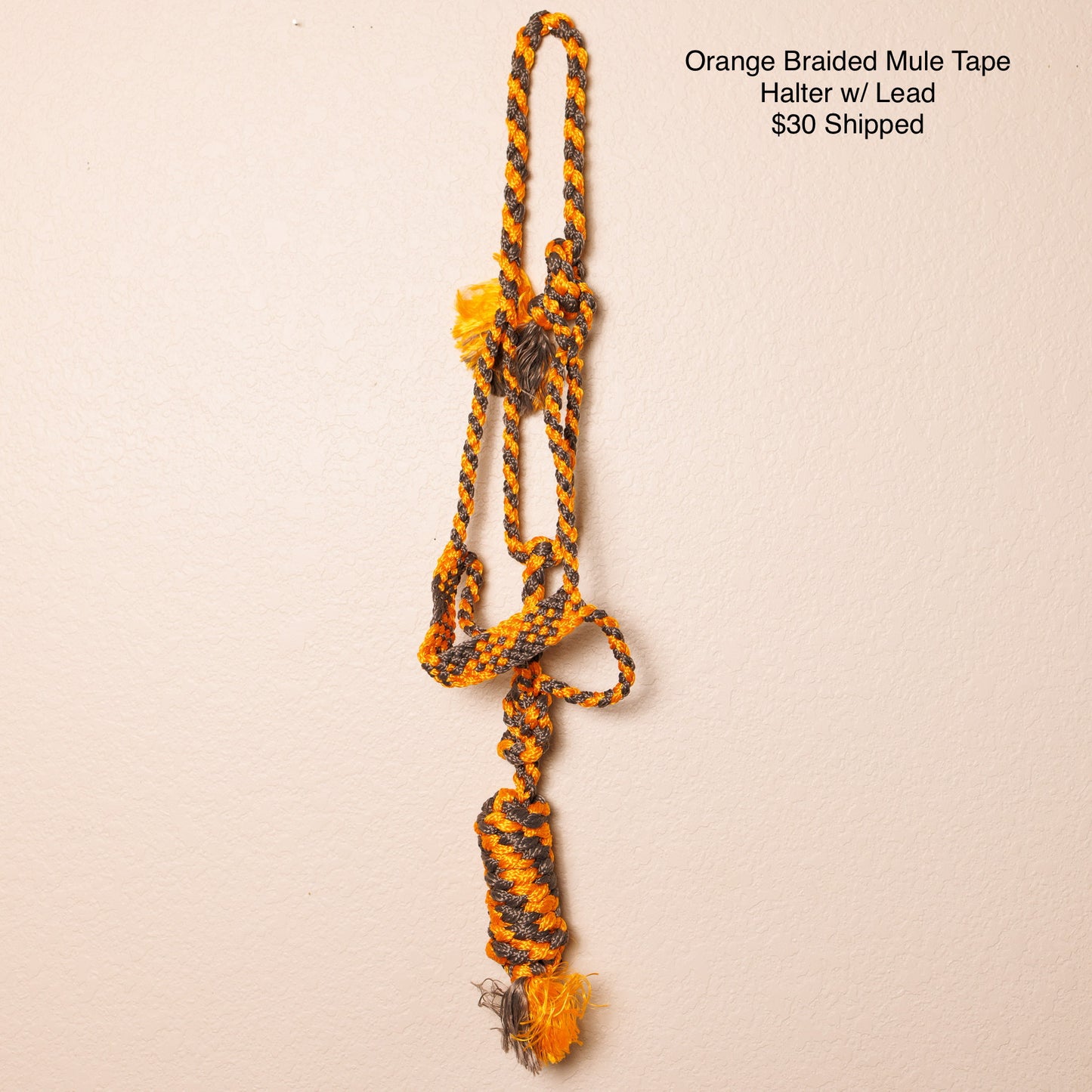 Orange Braided Mule Tape Halter w/ Lead